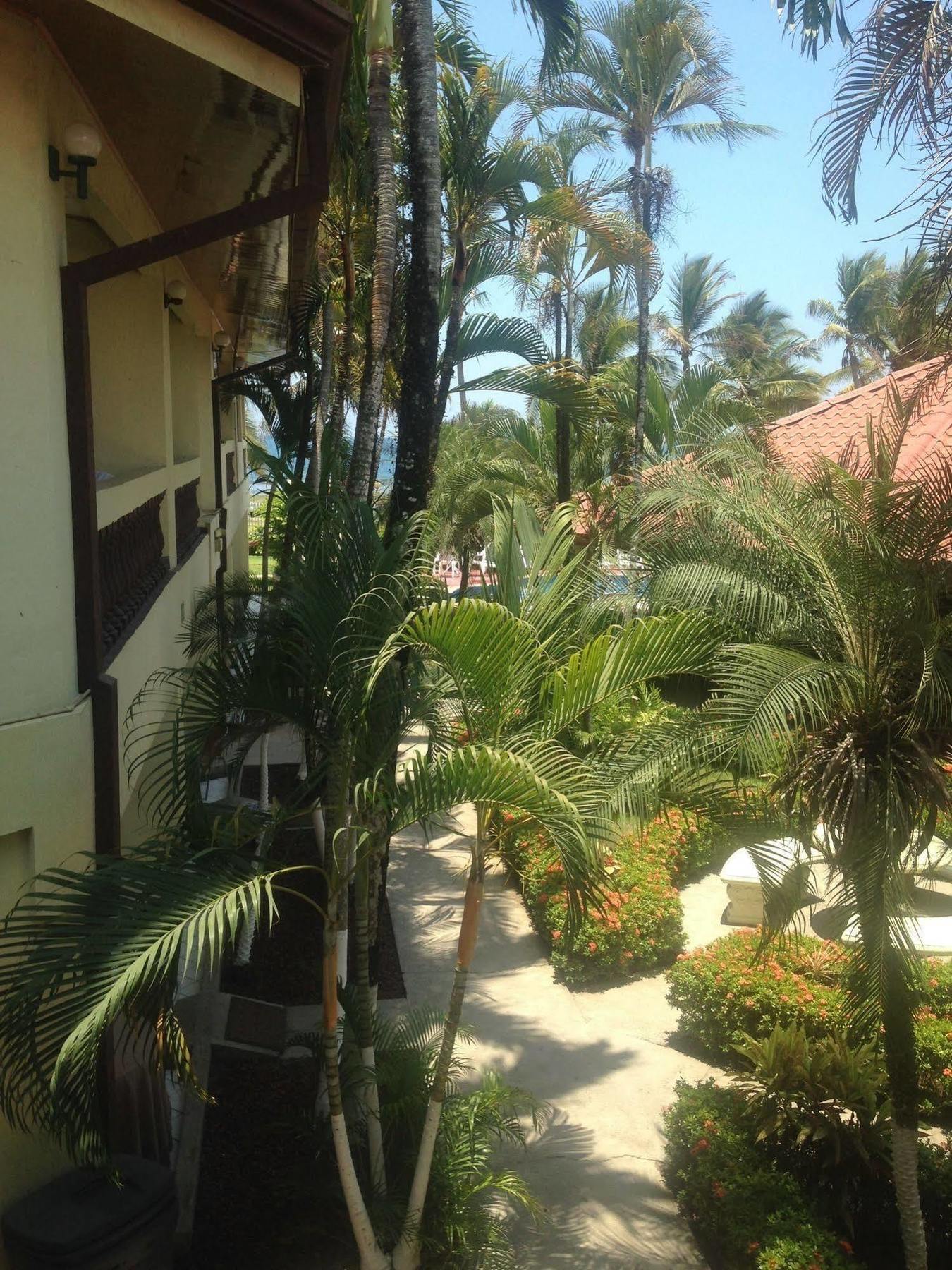 Hotel Mango Mar Jacó Екстериор снимка
